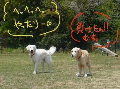 こま割2の3.jpg