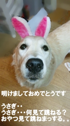 すずうさぎ.jpg