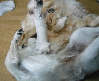 どうなってるか?.jpg