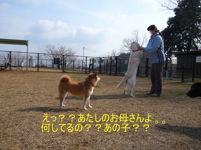 コロン.jpg