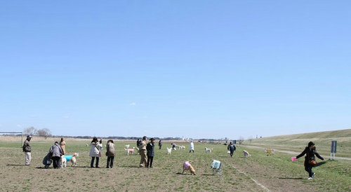 利根川ゴルだらけ.jpg