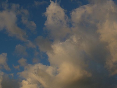 夏・空.・白jpg.jpg