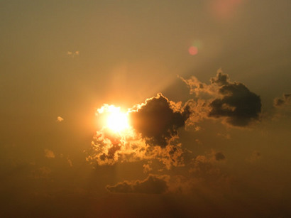 星野伸.jpg