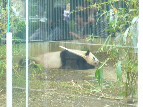 東京千葉6月 016.jpg
