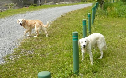 河川敷公園4.jpg