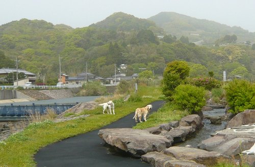 河川敷公園6.jpg