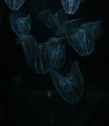 海きらら4.jpg