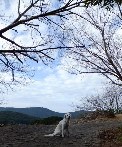 空とすず.jpg