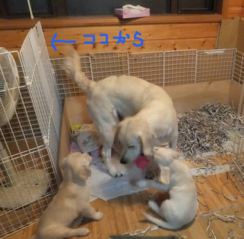 育児室1.jpg