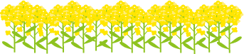 菜の花.gif