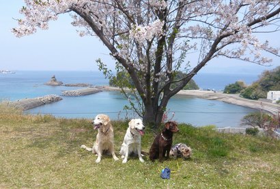 集合写真.jpg