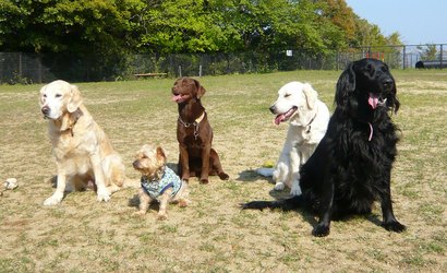 集合写真1.jpg