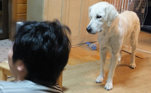 Dとすず.jpg