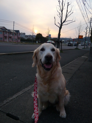 H23年3月〜 012.jpg