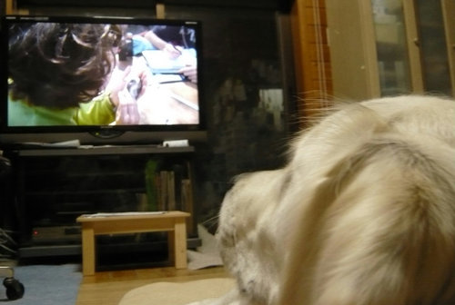 TVっ子すず2.jpg