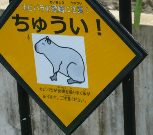UENO カピパラ.jpg