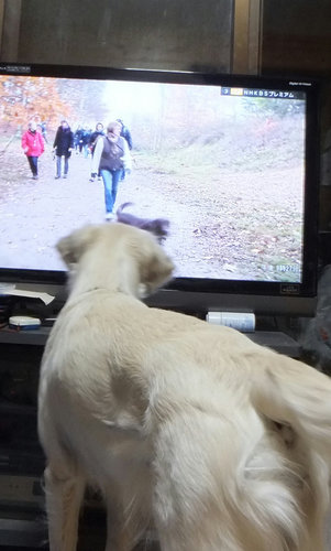 tv3.jpg